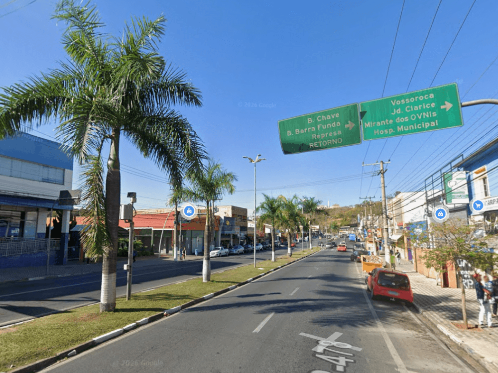Avenida com palmeiras, comércio e placas de orientação turística, destacando a mobilidade em uma cidade do interior de São Paulo.